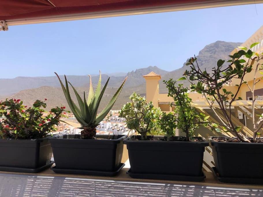 Apartamento Con Impresionantes Vistas Y Piscina Costa Adeje (Tenerife) Exterior foto