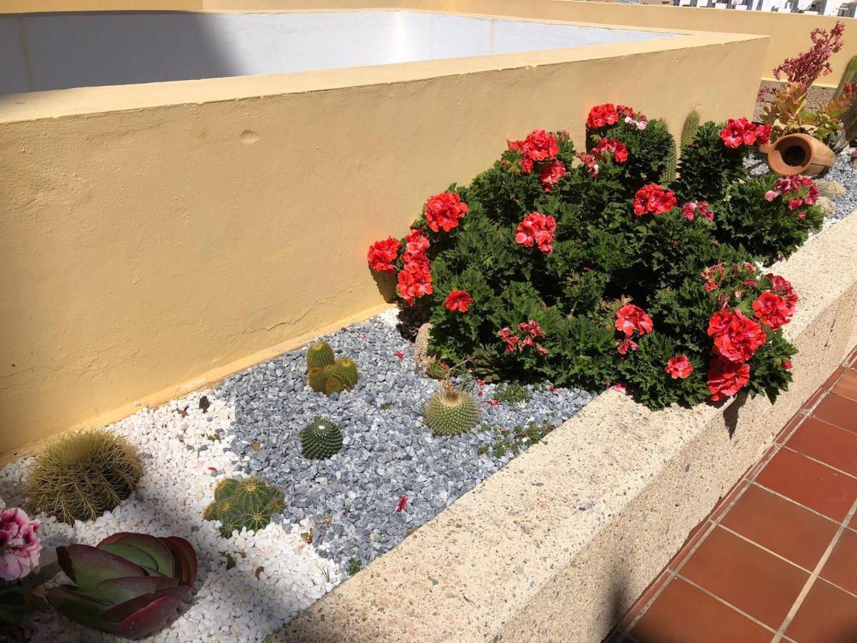 Apartamento Con Impresionantes Vistas Y Piscina Costa Adeje (Tenerife) Exterior foto
