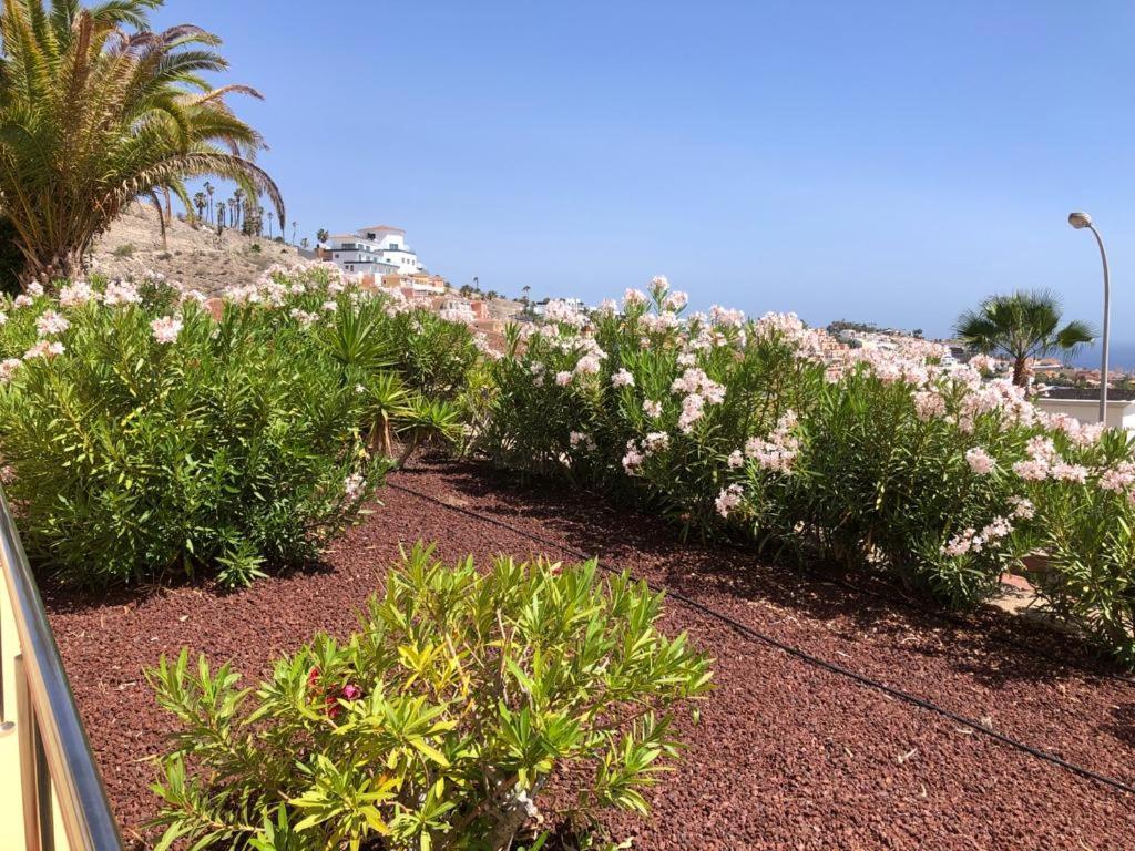 Apartamento Con Impresionantes Vistas Y Piscina Costa Adeje (Tenerife) Exterior foto