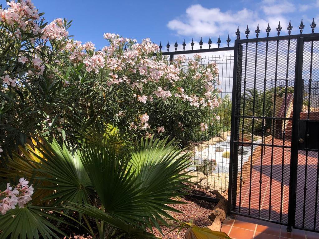 Apartamento Con Impresionantes Vistas Y Piscina Costa Adeje (Tenerife) Exterior foto